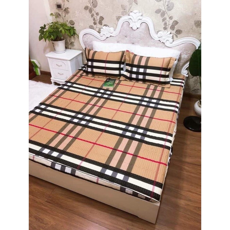 Bộ ga chun trần bông + 2 vỏ gối trần bông Cottong poly dày dặn