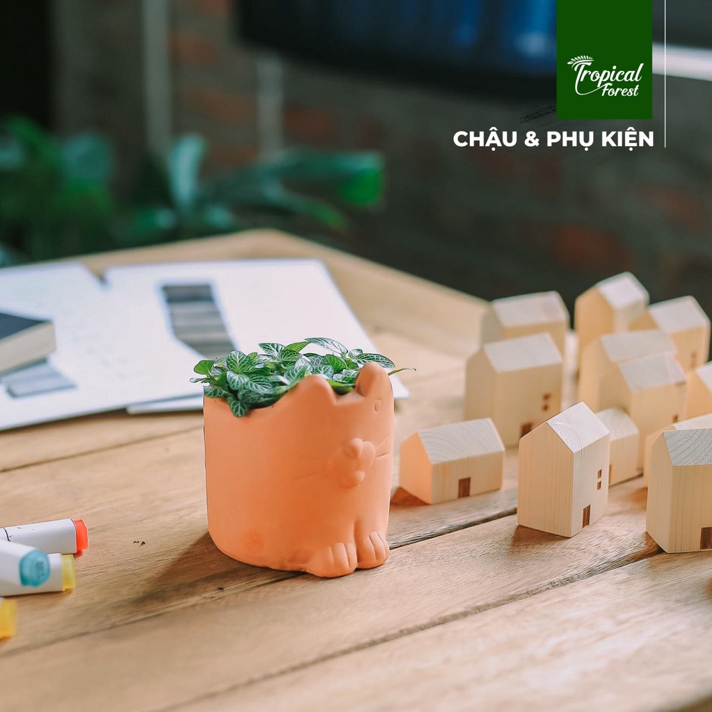 Chậu trồng sen đá đất nung hoạ tiết thú mini TROPICAL FOREST