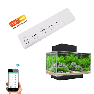 Ổ căm hẹn giờ Broadlink, Tuya Smart