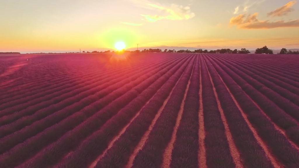 Bio-Oil Dầu chăm sóc da làm Giảm Rạn Da Và Làm Mờ Sẹo - 25ml | BigBuy360 - bigbuy360.vn