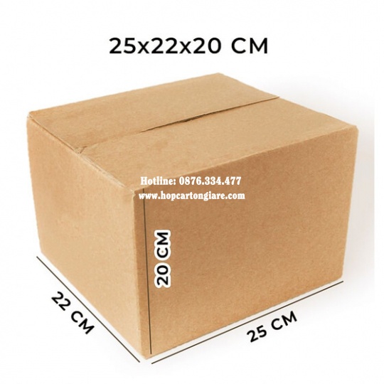 10 hộp carton 25x22x20 cm