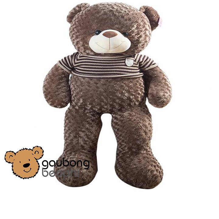 Gấu teddy áo len khổ vải 1m2 shop gấu bông béo phì