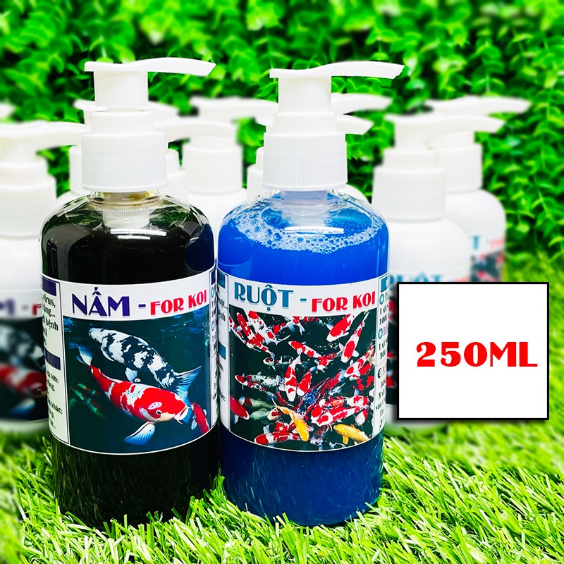 Vi Sinh Nấm + Đường Ruột cho hồ cá lớn cá chép la hán cá rồng