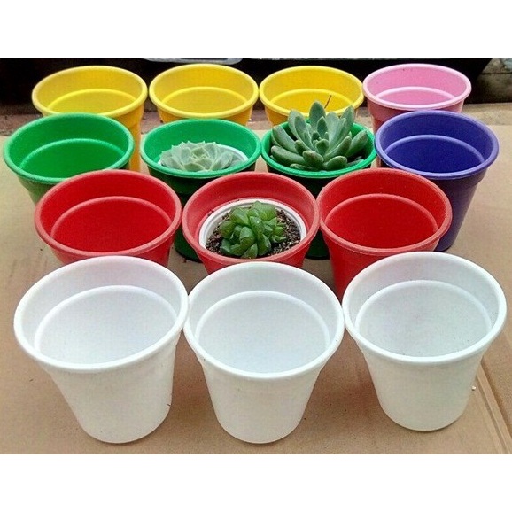 Chậu Nhựa Mini Xinh Xắn Trồng Sen Đá, Xương Rồng, Cây Cảnh Đầy Màu Sắc Cực Yêu