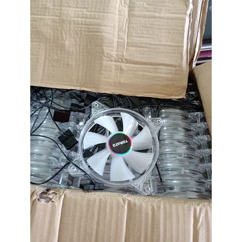 Fan Led TOMATO