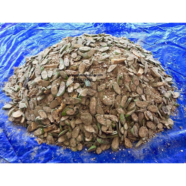 compo Chế phẩm vi sinh xử lý rác hữu cơ 200g và 1 chai rỉ mật 500g