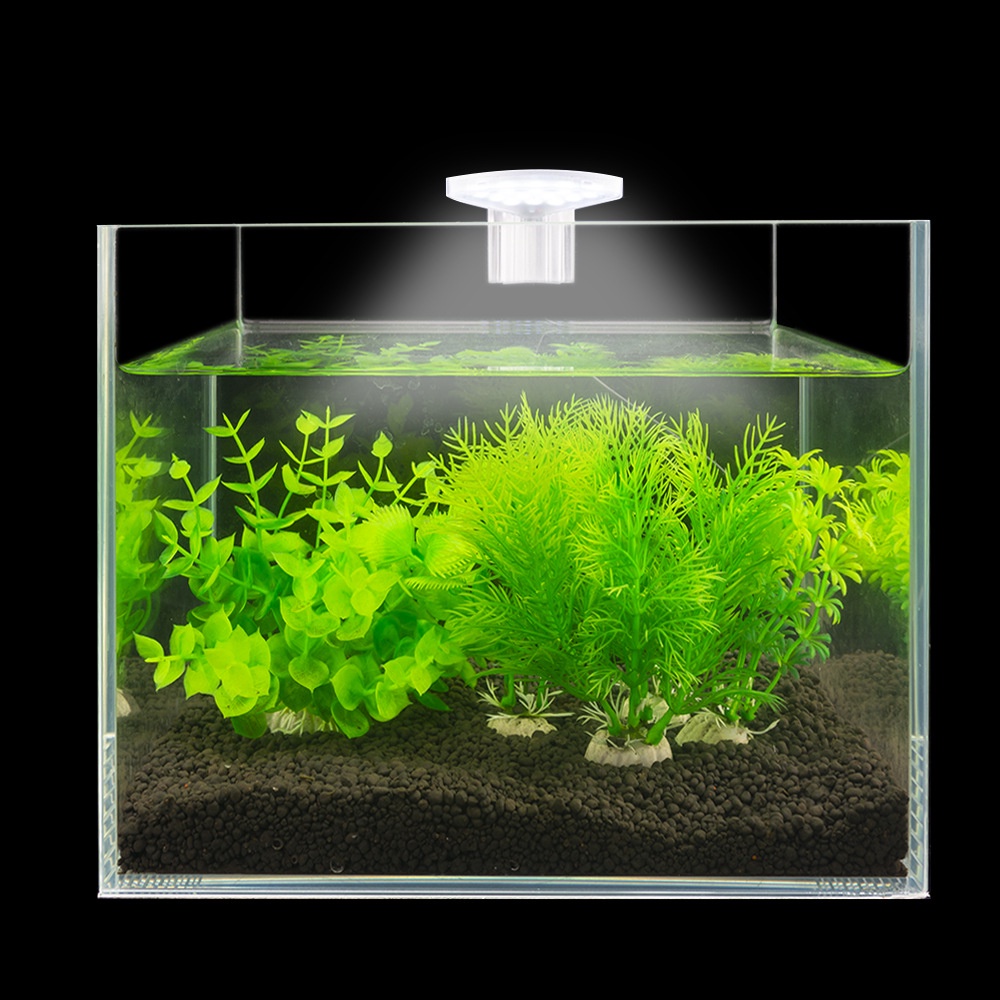 Đèn led Sương Mù Không Thấm Nước Kích Thước Nhỏ M3 Cho Bể Cá Cảnh