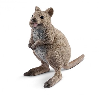 Mô hình con quokka schleich 14823