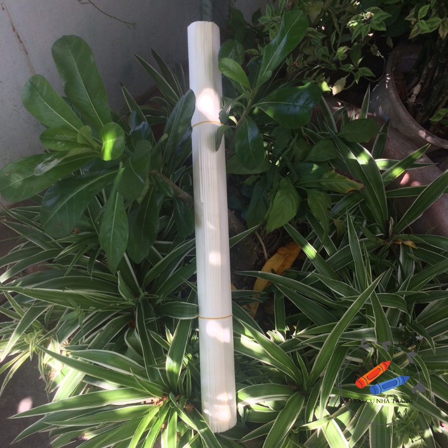 Giấy Bãi Bằng Khổ A1 Để Vẽ Hình Hoạ Luyện Thi Khối H, V