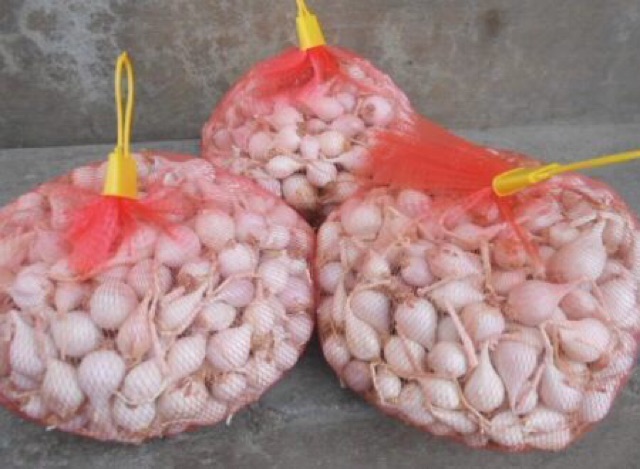 Tỏi Cô Đơn Lý Sơn chính gốc (loại 0.5 kg) | BigBuy360 - bigbuy360.vn