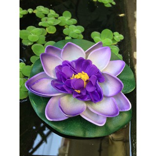 [ Chọn màu ngẫu nhiên] Tiểu cảnh Bông Sen Nổi Trang Trí Hồ Cá