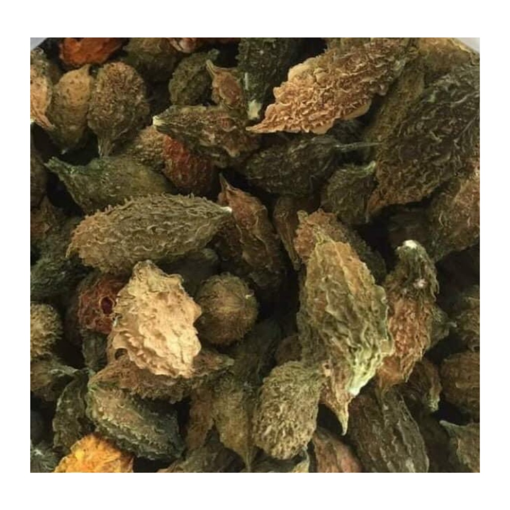 Khổ qua ( mướp đắng ) rừng nguyên trái sấy khô loại 1 hỗ trợ tiểu đường, giảm cân, làm trà tốt cho sức khoẻ | BigBuy360 - bigbuy360.vn