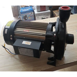 Máy bơm nước Dentax CMA 150 - 1.1KW
