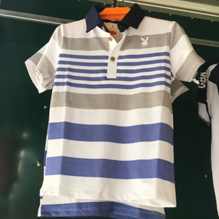 Áo phông và áo sơ mi