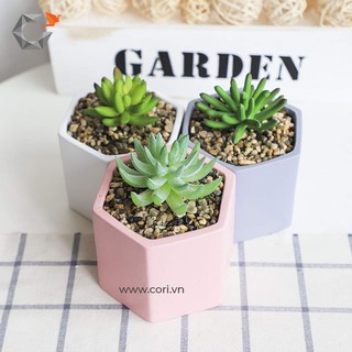 Chậu lục giác mini - The Hexagon