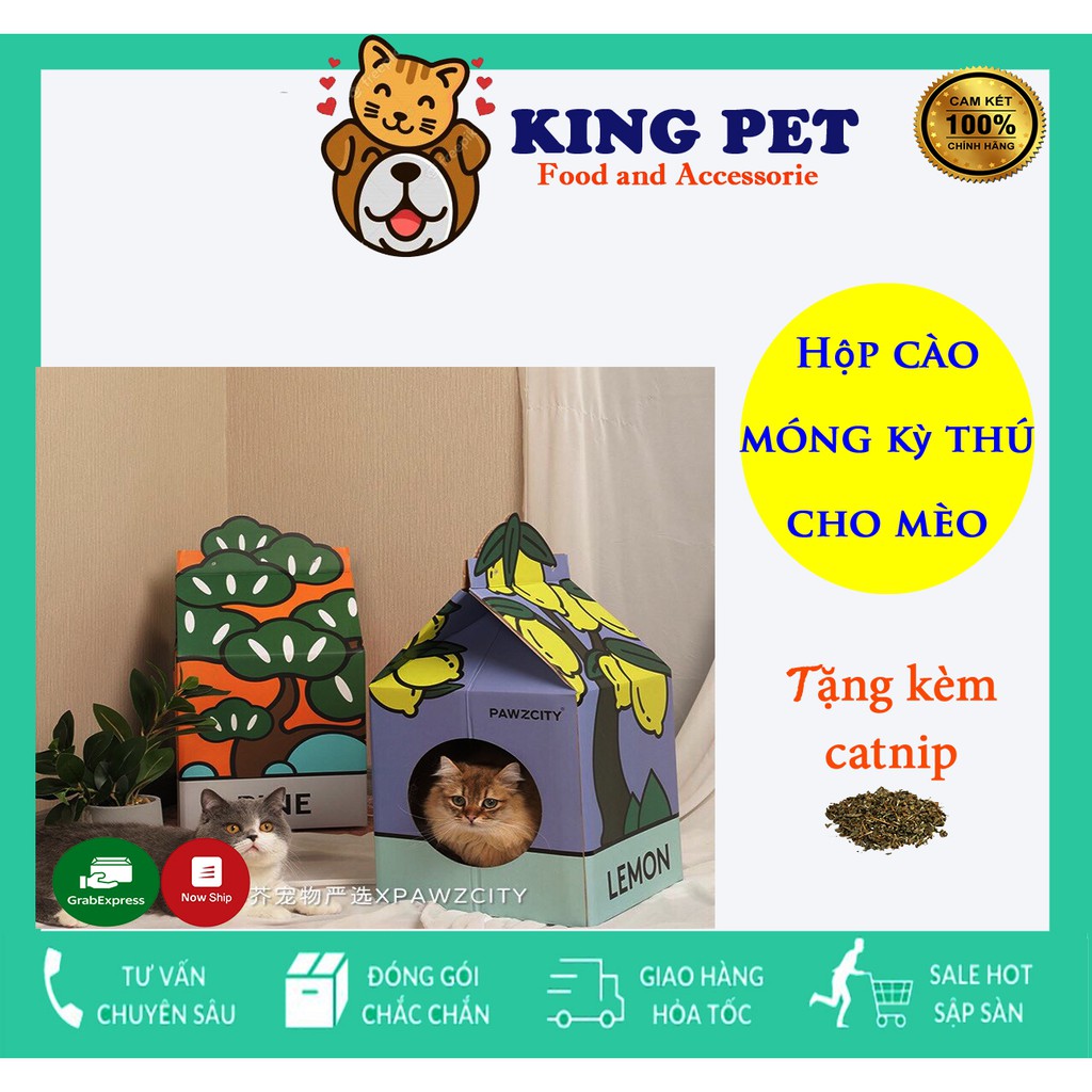 Hộp Box Cào Móng Cho Mèo Họa Tiết- Đồ Chơi- Bàn Cào Móng Cho Mèo