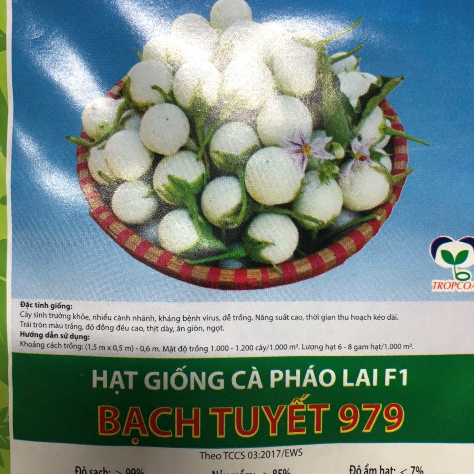 Hạt giống cà pháo trắng lai F1 Loại Đặc Biệt túi 1g