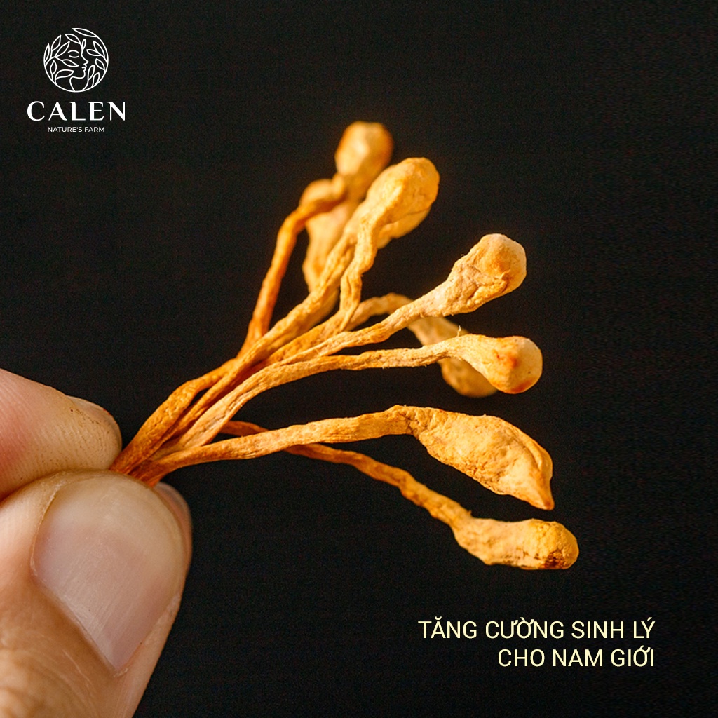 Trà Đông Trùng Hạ Thảo Sấy Khô Giúp Bồi Bổ Cơ Thể, Nâng Cao Sức Khỏe