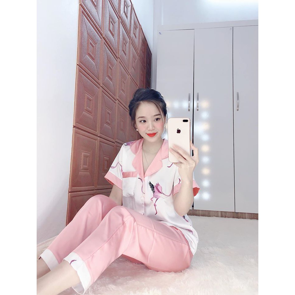Đồ ngủ
 giá rẻ🔥FREESHIP🔥 Đồ bộ lụa satin Hồng Hạc | BigBuy360 - bigbuy360.vn