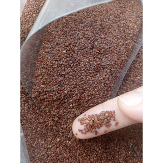 Hạt ngũ hoa đắp mặt 250g