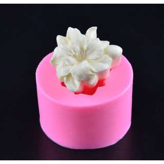 Khuôn silicon 3D hoa Lan