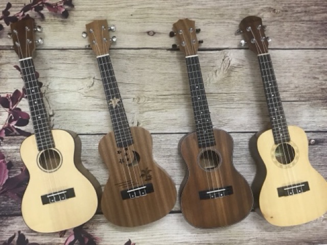 (ĐÀN SỊN) ĐÀN UKULELE CONCERT TỔNG HỢP CÁC MẪU ĐẸP