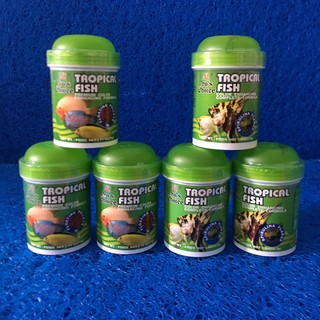 THỨC ĂN CÁ ALI VÀ CÁ THẦN TIÊN - TROPICAL FISH