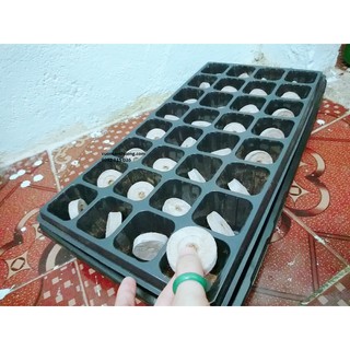 Viên nén xơ dừa ươm hạt bầu ươm cho cây con phát triển