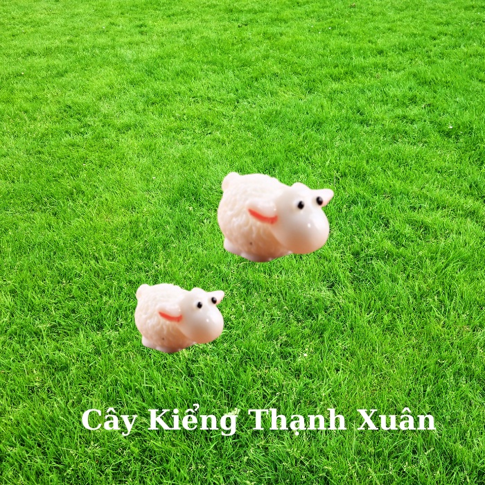 Phụ kiện trang trí tiểu cảnh Cừu lông xù, trang trí sen đá, xương rồng