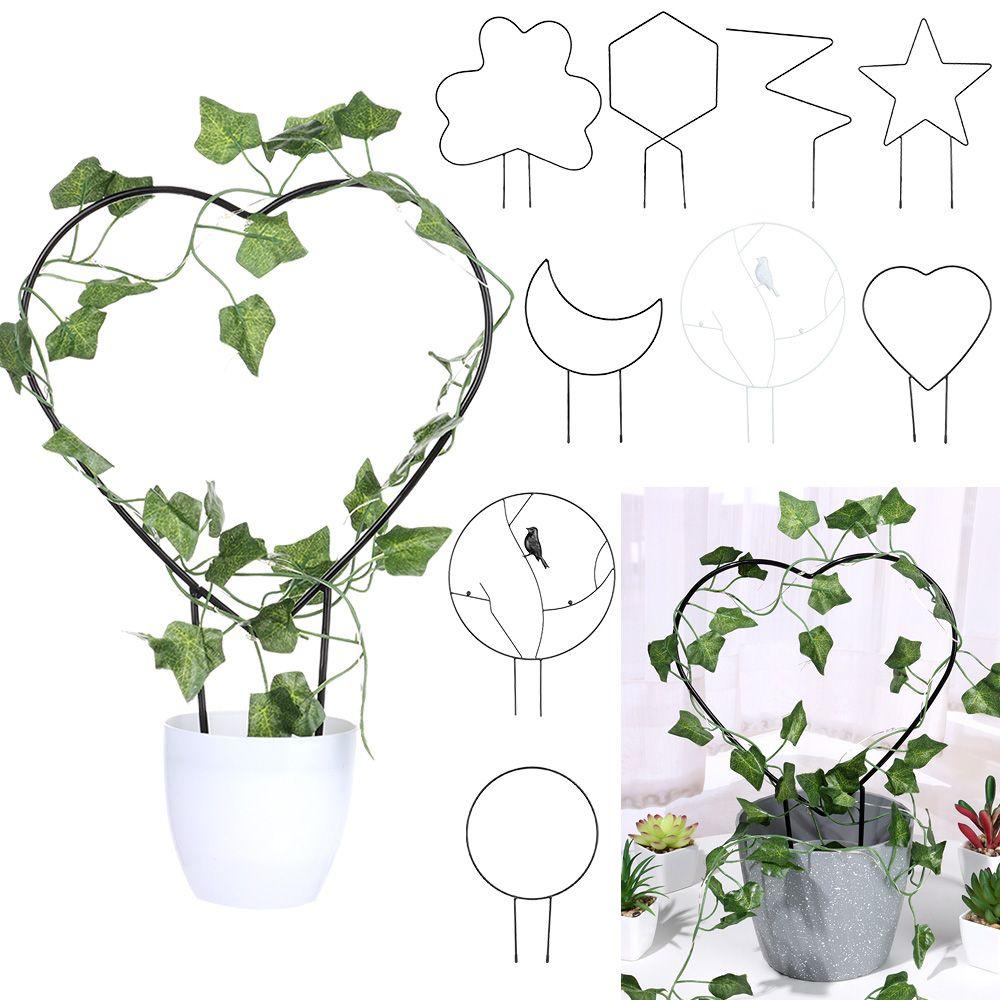 Giá Đỡ Cây Dây Leo Bằng Sắt Dùng Trang Trí Trong Nhà / Ngoài Trời DIY