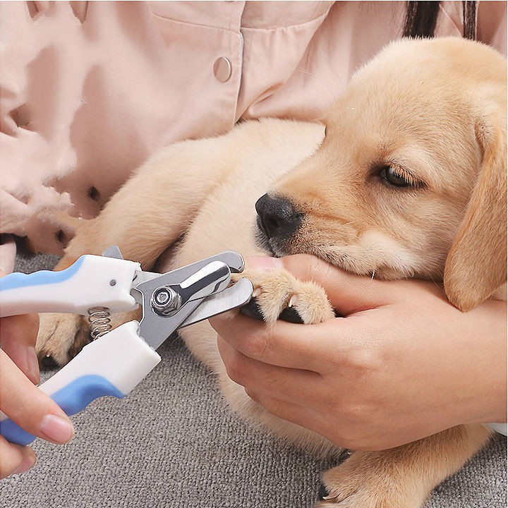 Đồ cắt móng tay cho chó, vật nuôi, tay, chó lớn vừa và nhỏ, tha mồi vàng, mèo bông, dụng cụ chải lông thông thường