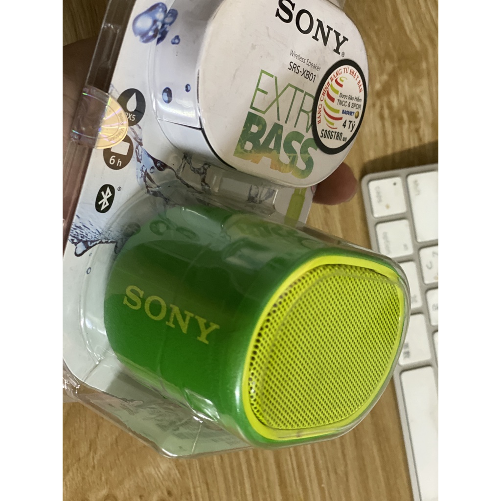 Loa Bluetooth SOny SRS XB-01