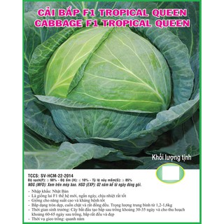 Bắp Cải F1 Tropica Queen (Bắp Cải Xanh) - 1 gram