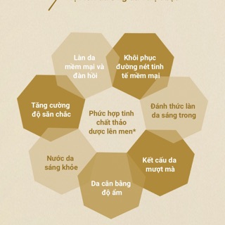 【 50ml - 110ml 】serum chống lão hoá Albion Flora