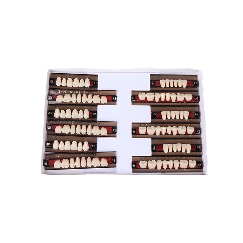 Hộp 84 Hàm Răng Giả Bằng Nhựa Polymer