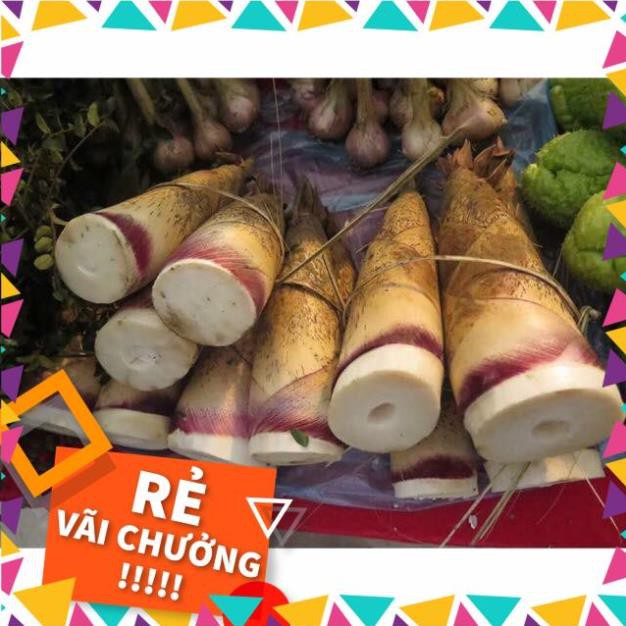 Măng Đắng Tươi