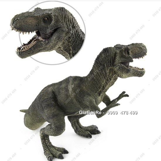 Mô Hình Khủng Long Bạo Chúa T-Rex  Tyranosaurus Đứng Thẳng - Cao 18cm - Dài 28cm - 7728.1
