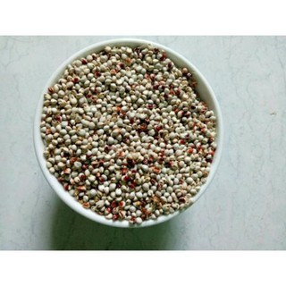 HẠT Hạt BO BO TRẮNG cho chim cảnh