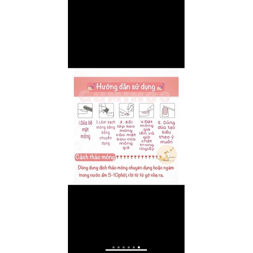 Nailbox - Móng úp móng giả