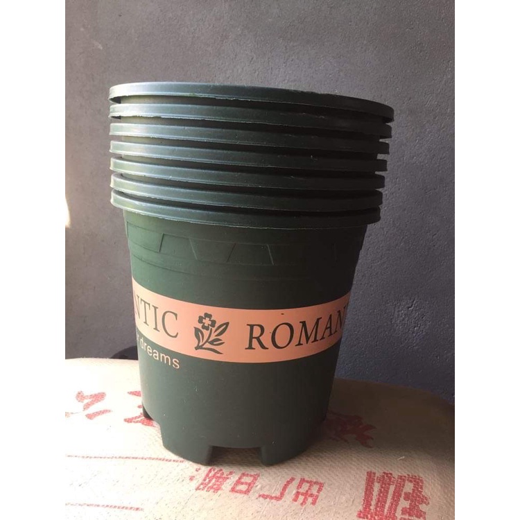 5 CHẬU NHỰA ROMANTIC #3