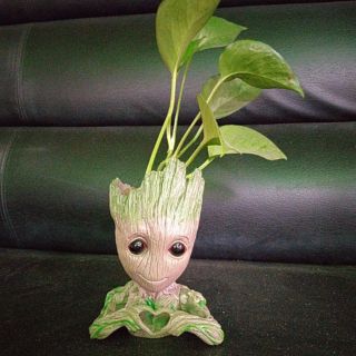 Chậu Baby Groot