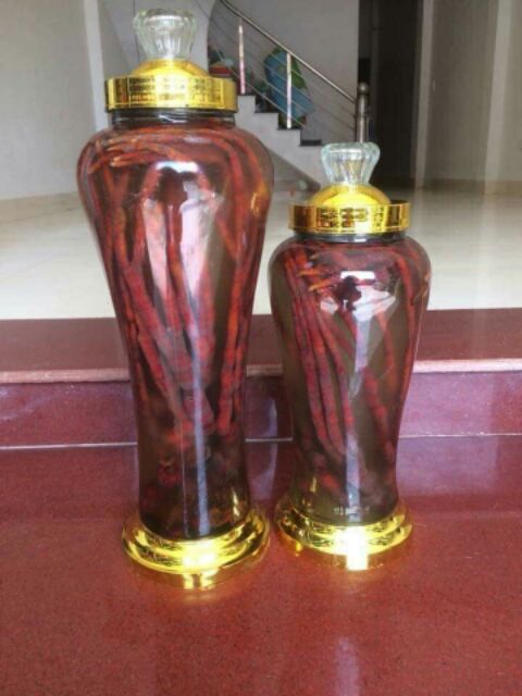 Nấm Sừng Hươu Tây Bắc [1kg] chuẩn rừng Tây Bắc