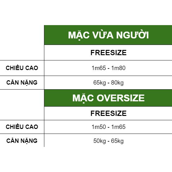 Áo Tay Dài Vải Gân 100% Cotton Cao Cấp - Áo Tee Long Sleeve Dragonbyboi BASIC FREESIZE Nhiều màu