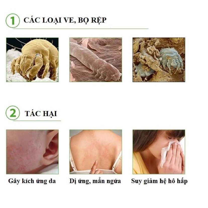 Bình xịt diệt Bọ mạt, bọ rệp, ve Chiết xuất từ Thảo mộc