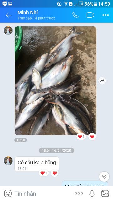 MỒI  CÁ LĂNG CÁ DA TRƠN SIÊU NHẠI 500G LOẠI 1