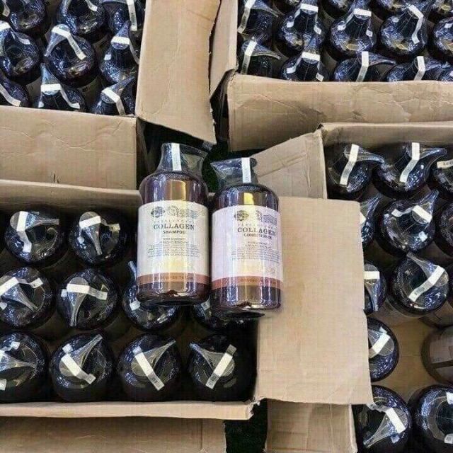 Dầu cặp Colagen