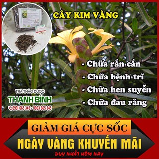 Cây Kim Vàng 100g Khô - Hàng Loại 1