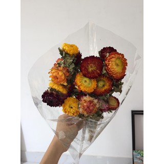 BÓ HOA BẤT TỬ KHÔ ĐẸP