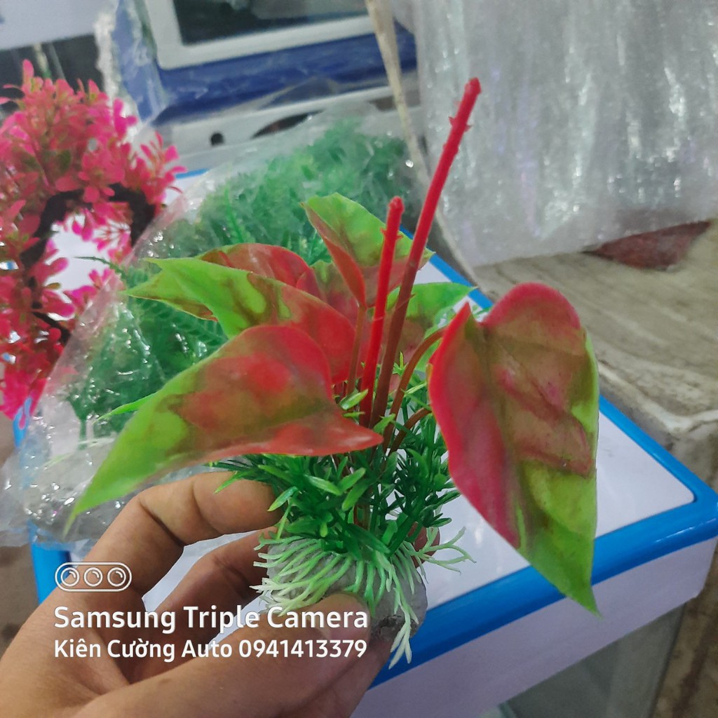 Mô hình trang trí cây nhựa cho bể cá cảnh, bể cá cao cấp