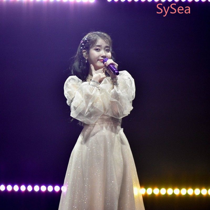 Đầm Dài Tay Phối Lưới Xinh Xắn Dành Cho Nữ